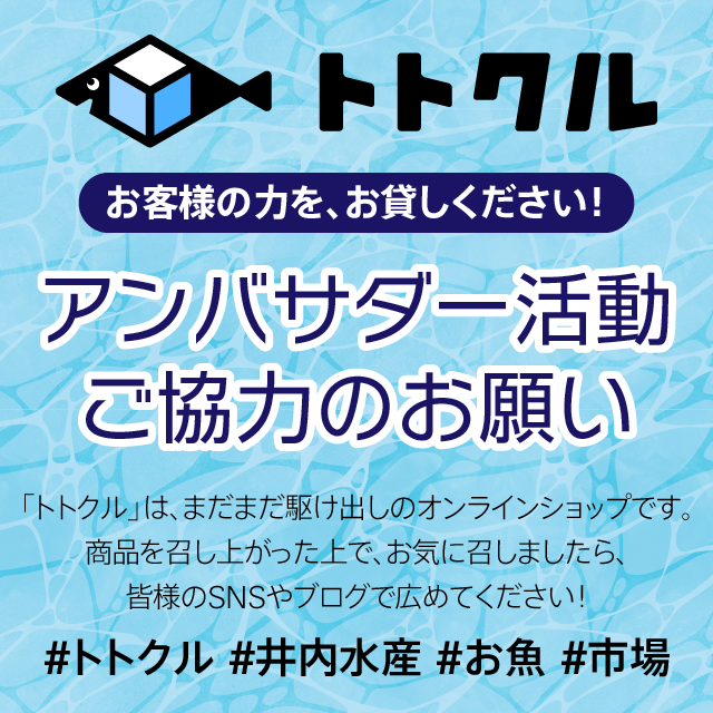 【オープン記念特価】トトクル詰合せ4,000円→3000円セット