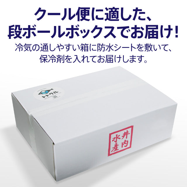 【オープン記念特価】トトクル詰め合わせ6,000円→5000円セット